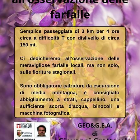 B&B Il Glicine Molare Cremolino ภายนอก รูปภาพ