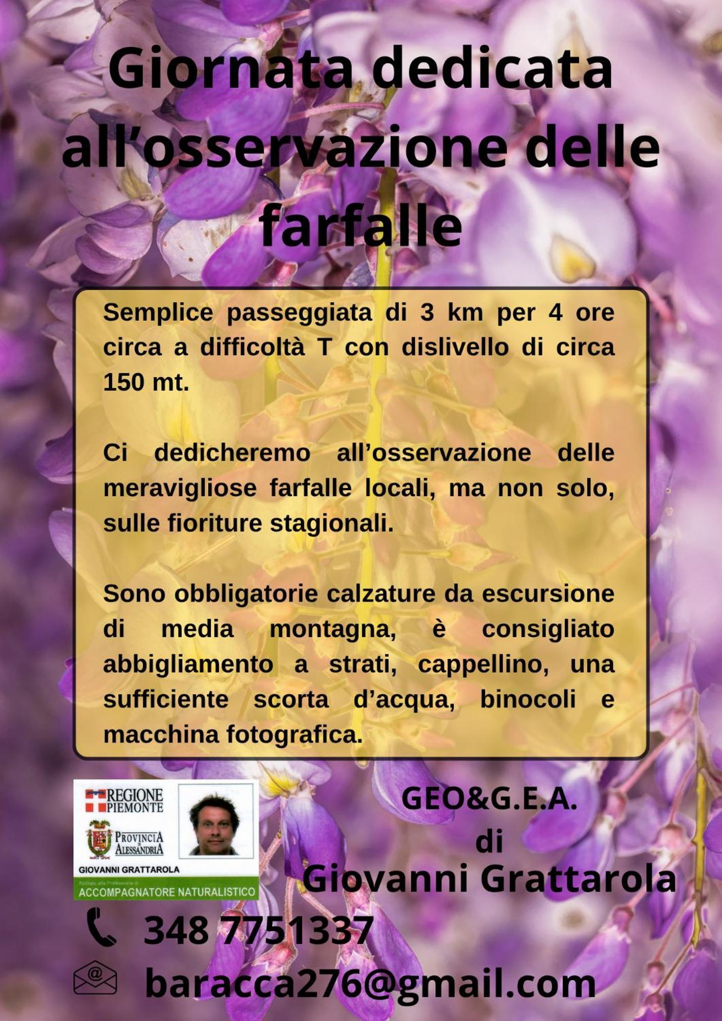B&B Il Glicine Molare Cremolino ภายนอก รูปภาพ